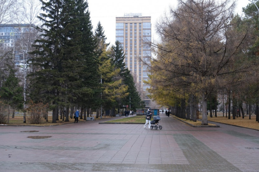 когда сажать рассаду в марте 2024 года.