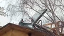 «Почти сорвало крышу»: Новосибирск накрыл сильный ветер — фото и видео последствий