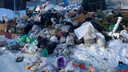 Регоператор ответил, почему самарские дворы завалены мусором