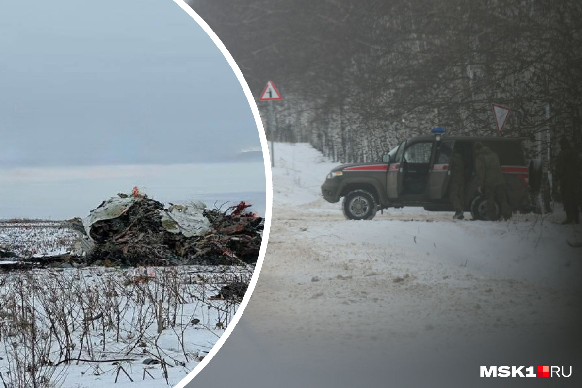 самолет растение. можно ли перевозить растения в самолете. можно ли в самолёт горшок с цветком. девушка и самолет картинка. можно ли в самолет растения.