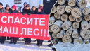 «Мы против его уничтожения»: зауральцы записали обращение к Бастрыкину из-за вырубки леса