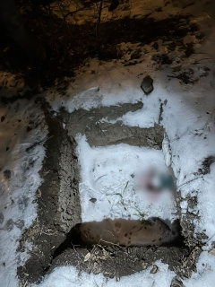 Тело убитой женщины нашли в яме. Подозреваемый припорошил его снегом