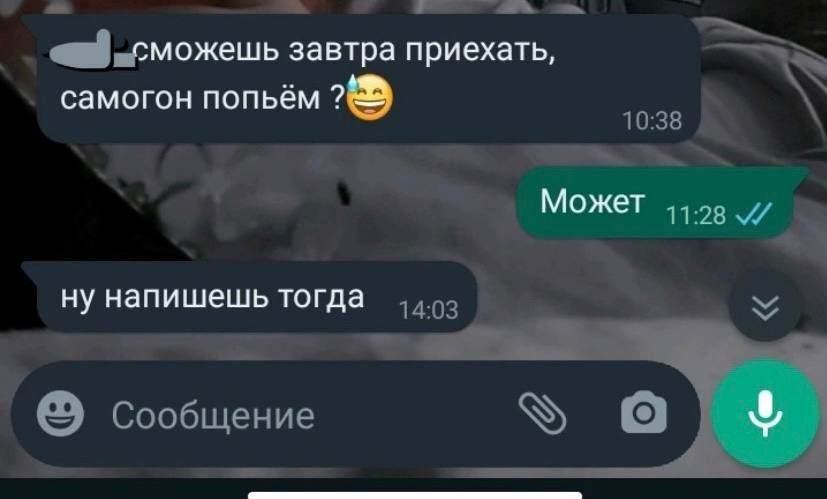 Сообщение, написанное накануне трагедии Сообщение, написанное накануне трагедии