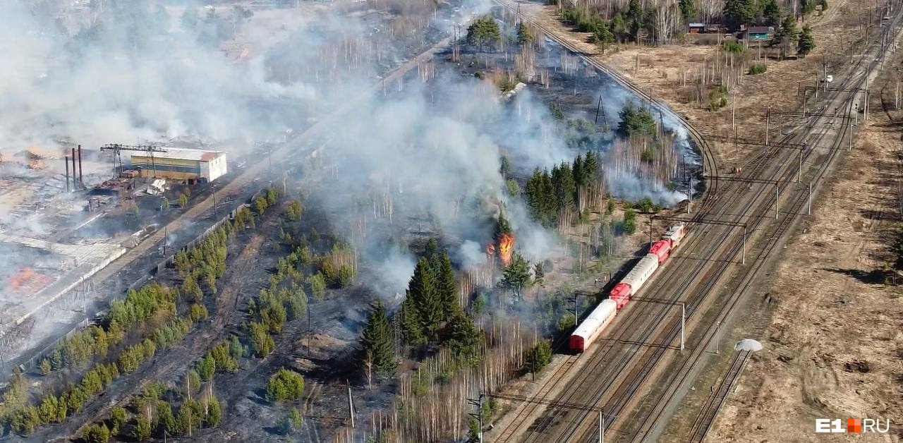 Поезда ехали прямо рядом с горящим лесом