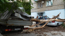 Валит деревья и сносит крыши: на Волгоград и область обрушился дикий ветер и крепкие морозы