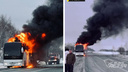«Он был весь в огне»: на новосибирской трассе загорелся рейсовый <nobr class="_">автобус</nobr> — видео пожара