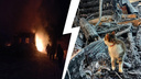 «Кот жив, я жив, сгорело всё»: ярославец остался без жилья и накоплений после пожара в морозы