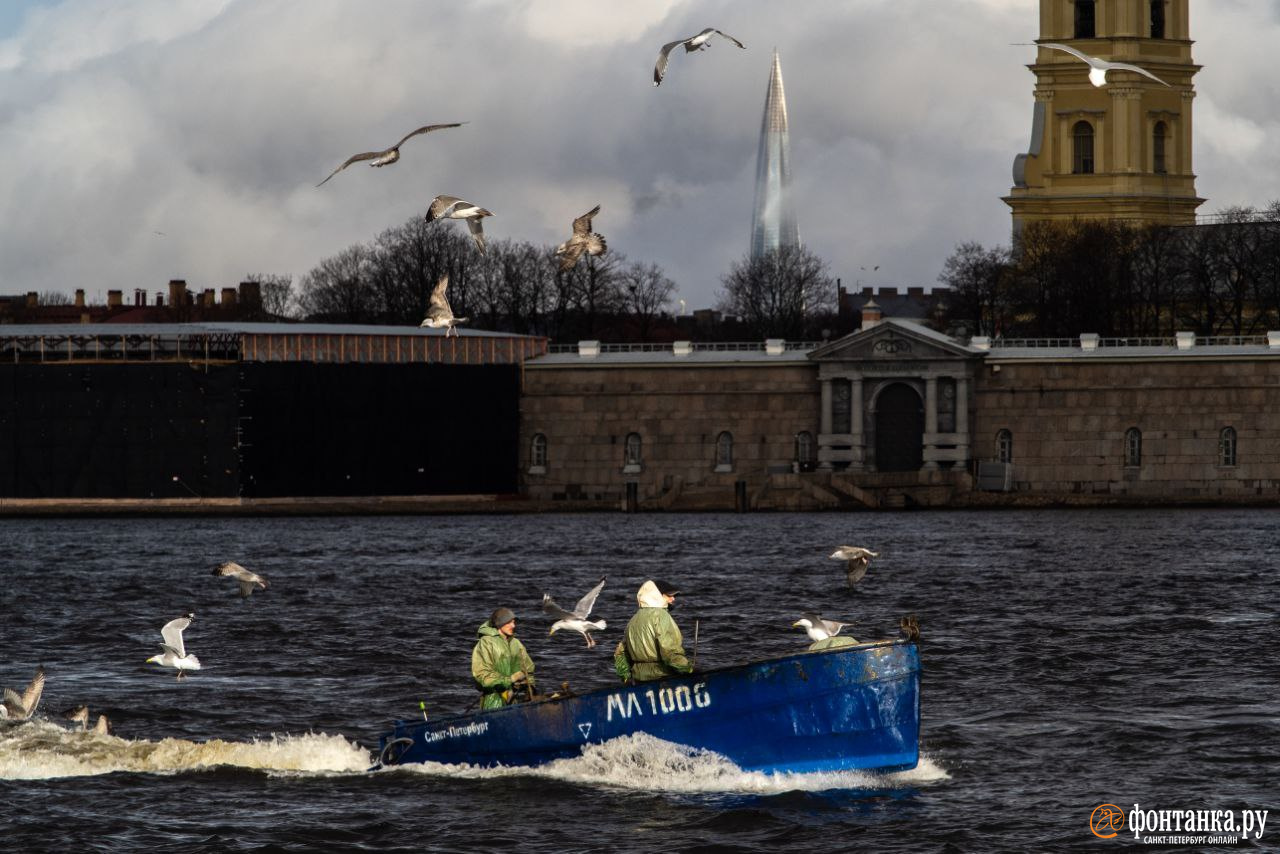 Фото с запахом. Петербуржцы массово ловят корюшку на берегах Невы