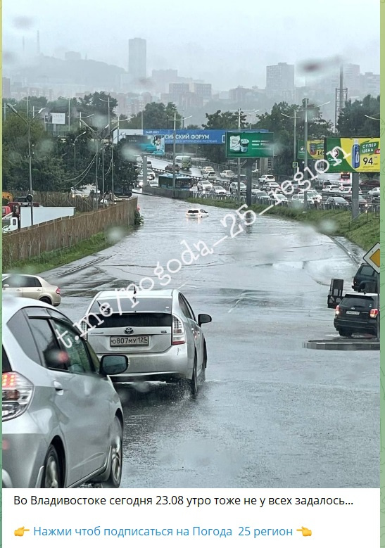 Погода владивосток на месяц. Синоптик. Погода владивосток. Погода синоптик. Погода владивосток 28 августа.