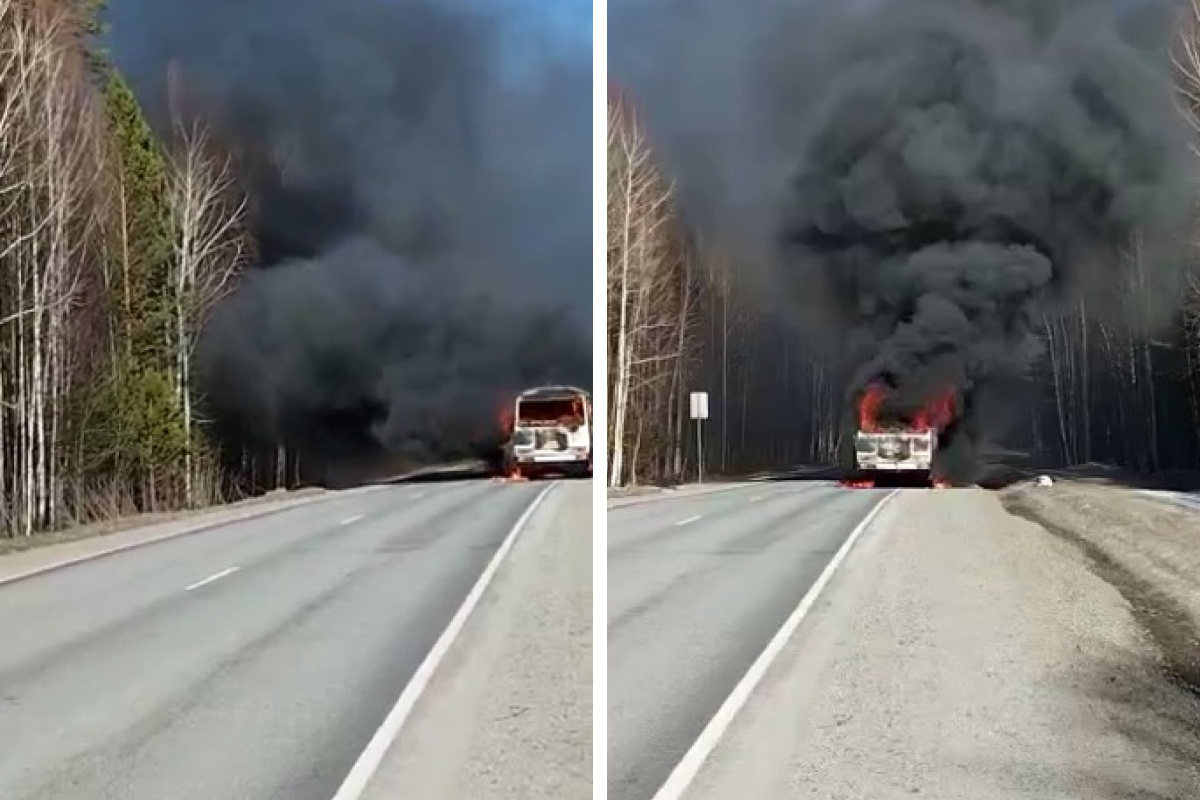 ПАЗ сгорел на трассе в Новосибирской области — видео - 5 апреля 2023 - НГС
