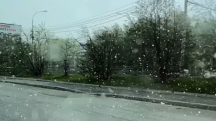 На Екатеринбург внезапно обрушился майский снег: видео