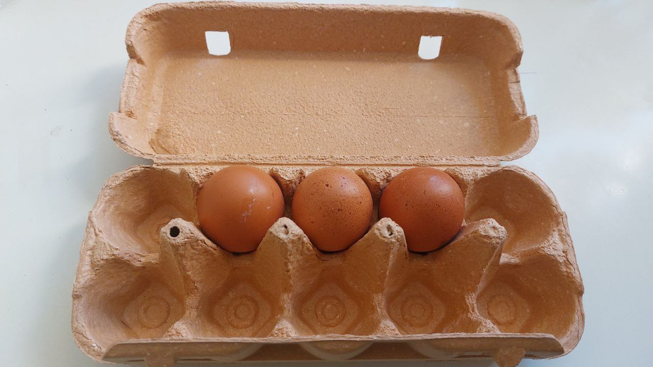 «Что с яйцами?» Глава саратовского УФАС ответила на самый насущный вопрос жителей