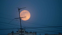Почти суперлуние: полная луна взошла над Новосибирском — смотрим красивые фото