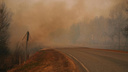 Огонь перешел на север. Пожары повредили еще 885 гектаров леса в Приморье