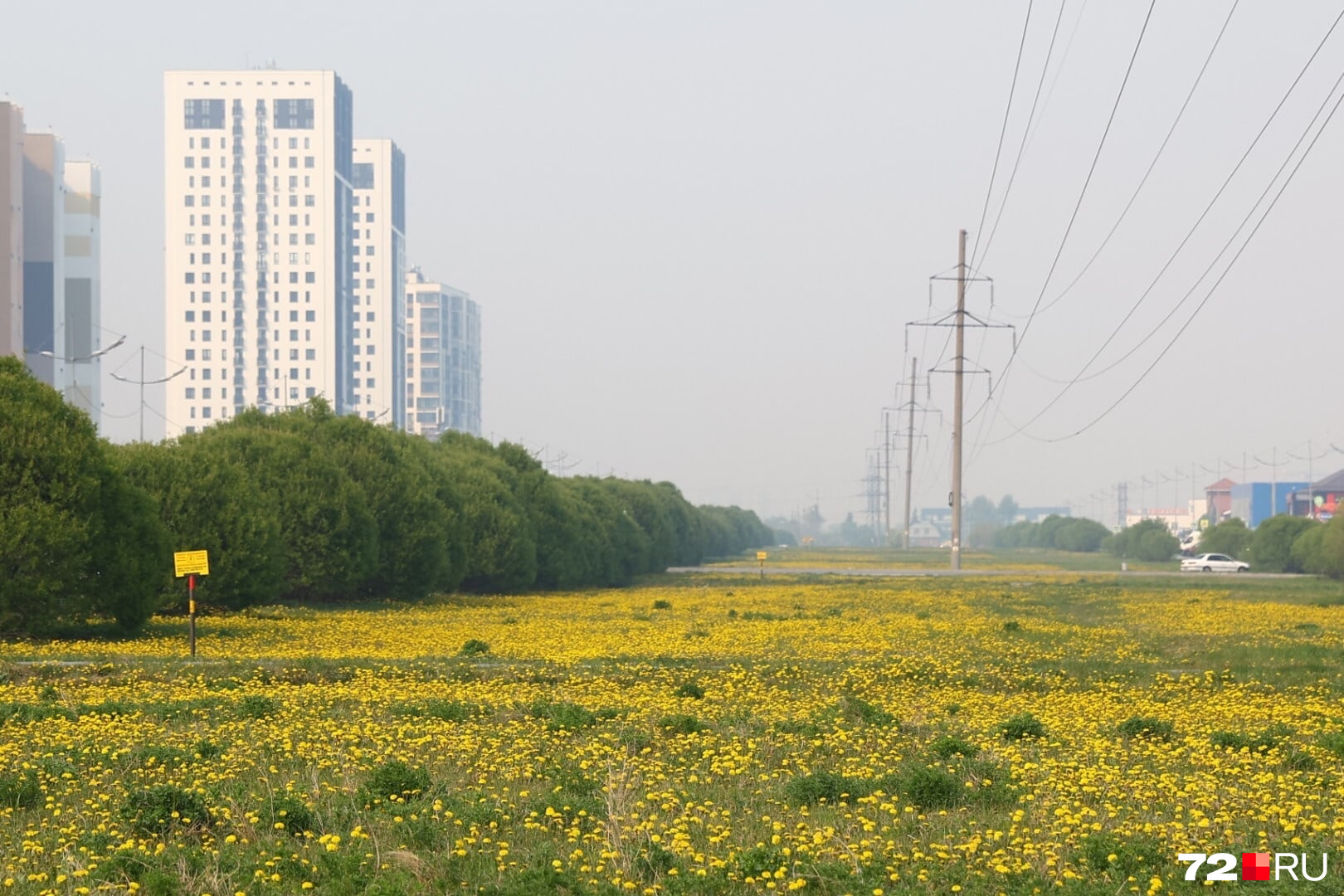 В Тюмени снова пахнет гарью, что горит в Тюменской области, пожары под ...