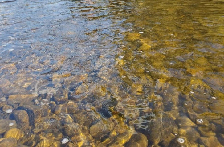 Анализировать причины загрязнения реки в Забайкалье начали, когда река уже стала чистой