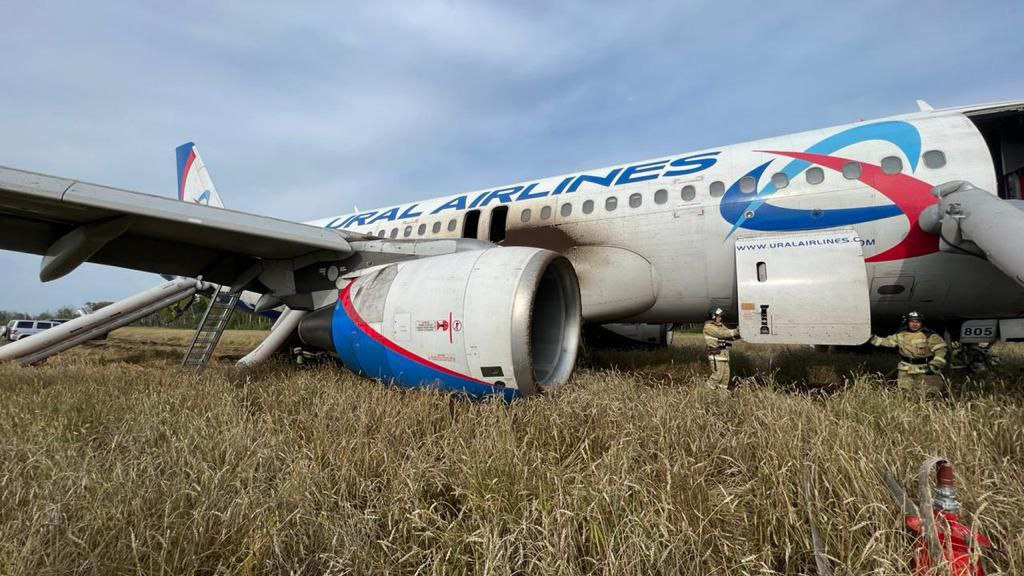 «Был нездоровый звук»: что случилось с самолетом «Уральских авиалиний», который сел в пшеничном поле