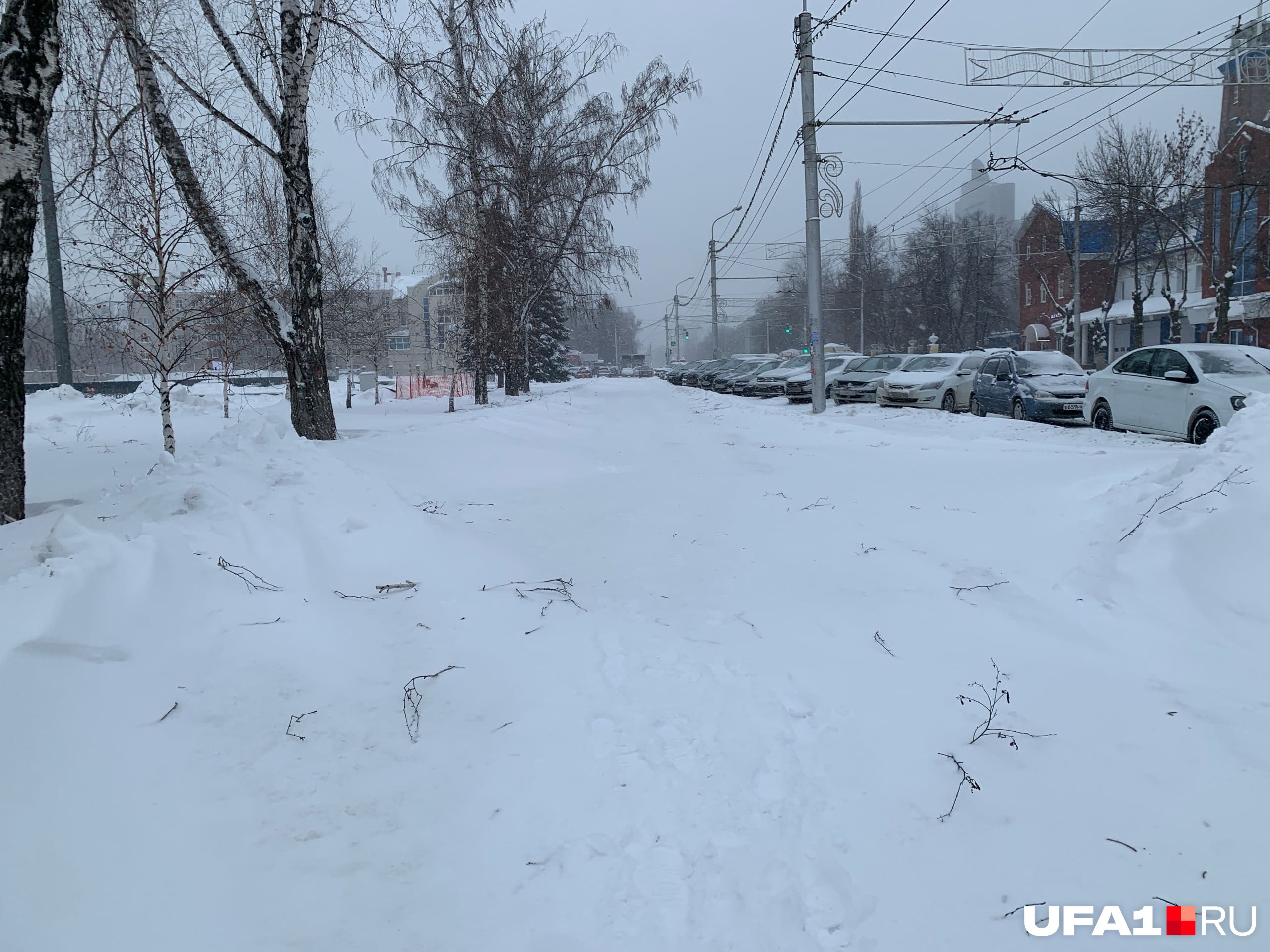 В целом же деревья пока держатся