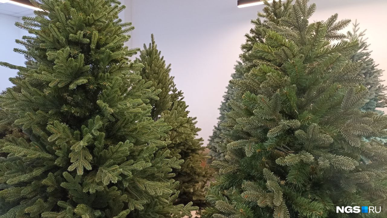 На фото искусственные елки из магазина «Елки Тренд»
