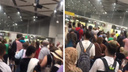 Огромная очередь образовалась в аэропорту Толмачево — видео