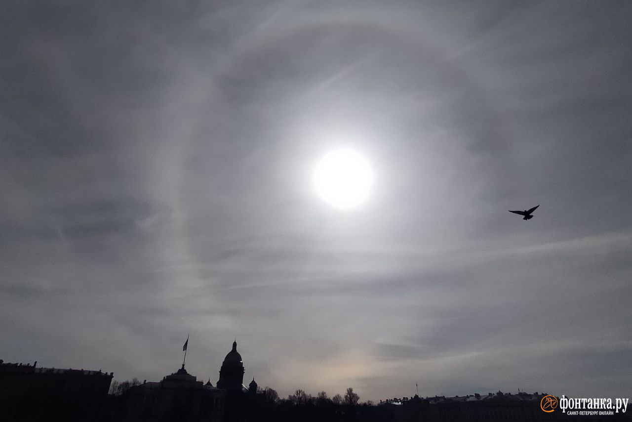 Солнце в «нимбе»: петербуржцы встретили утро с оптической иллюзией
