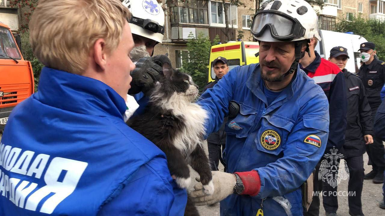 В списке погибших под завалами пятиэтажки в Нижнем Тагиле оказались двое детей. Онлайн