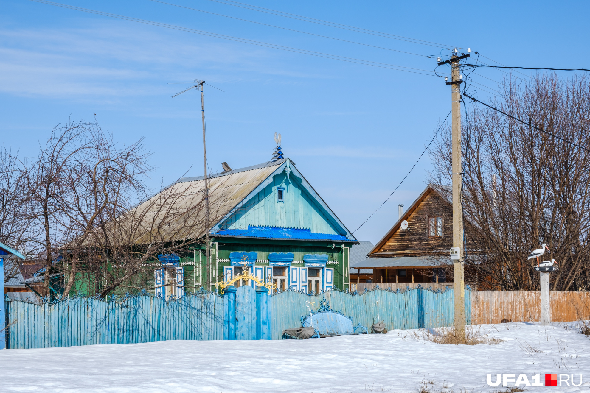 Возле дома сидят журавли