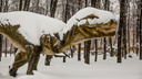 «Холодная волна выйдет на пик»: Ярославль и Центральную Россию накроют мороз и снегопады