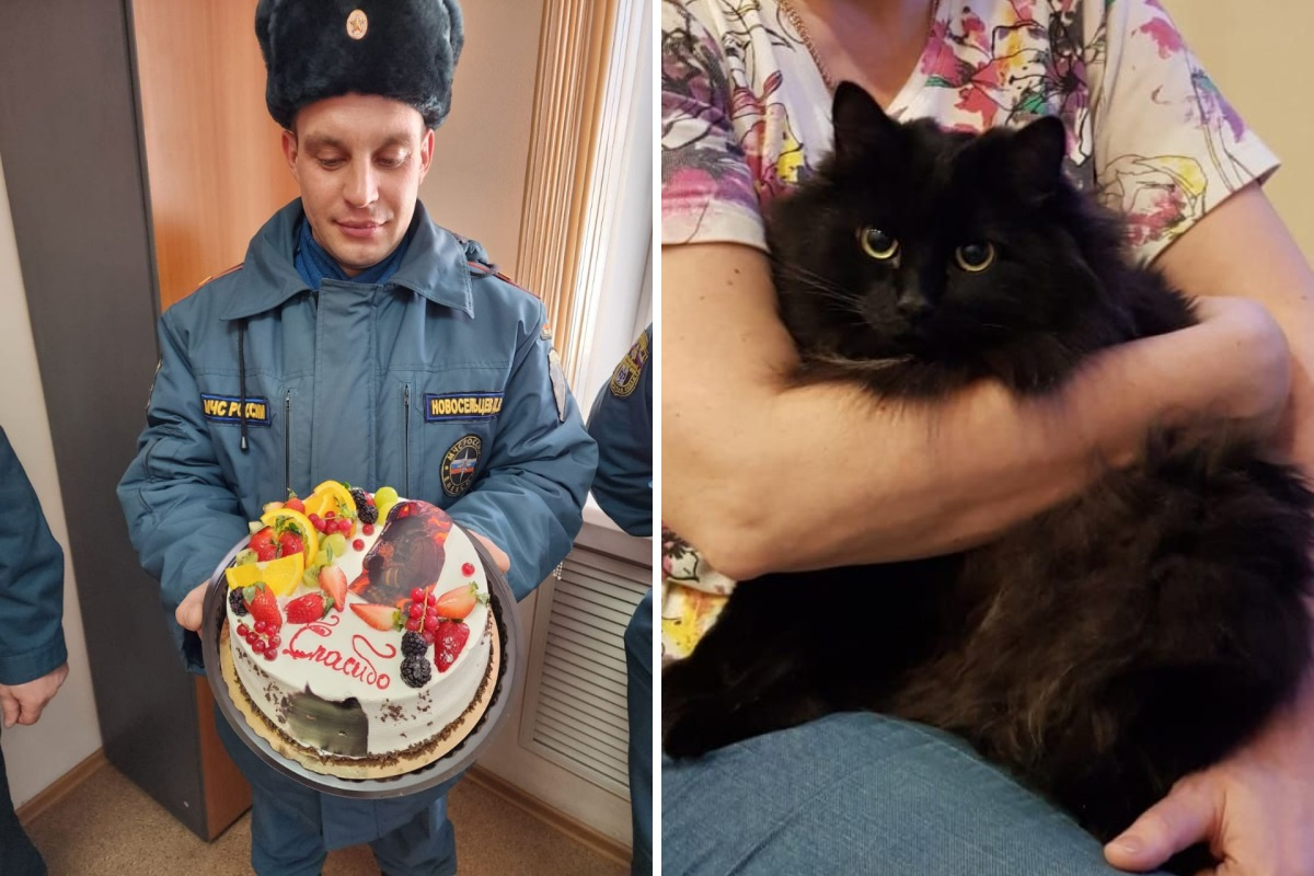 В Новосибирске пожарные спасли кошку, надев кислородную маску, — что хозяева подарили в ответ