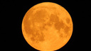 Большая Луна — к деньгам: в ночь на 31 августа начнется редчайшее суперлуние