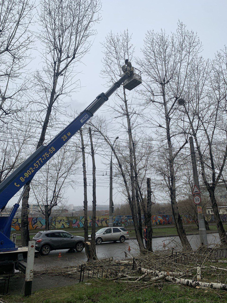На Академической в Иркутске начали сносить деревья для расширения дороги