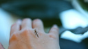 «Максимум активности кровососущих»: когда комары и мошки перестанут кусать новосибирцев