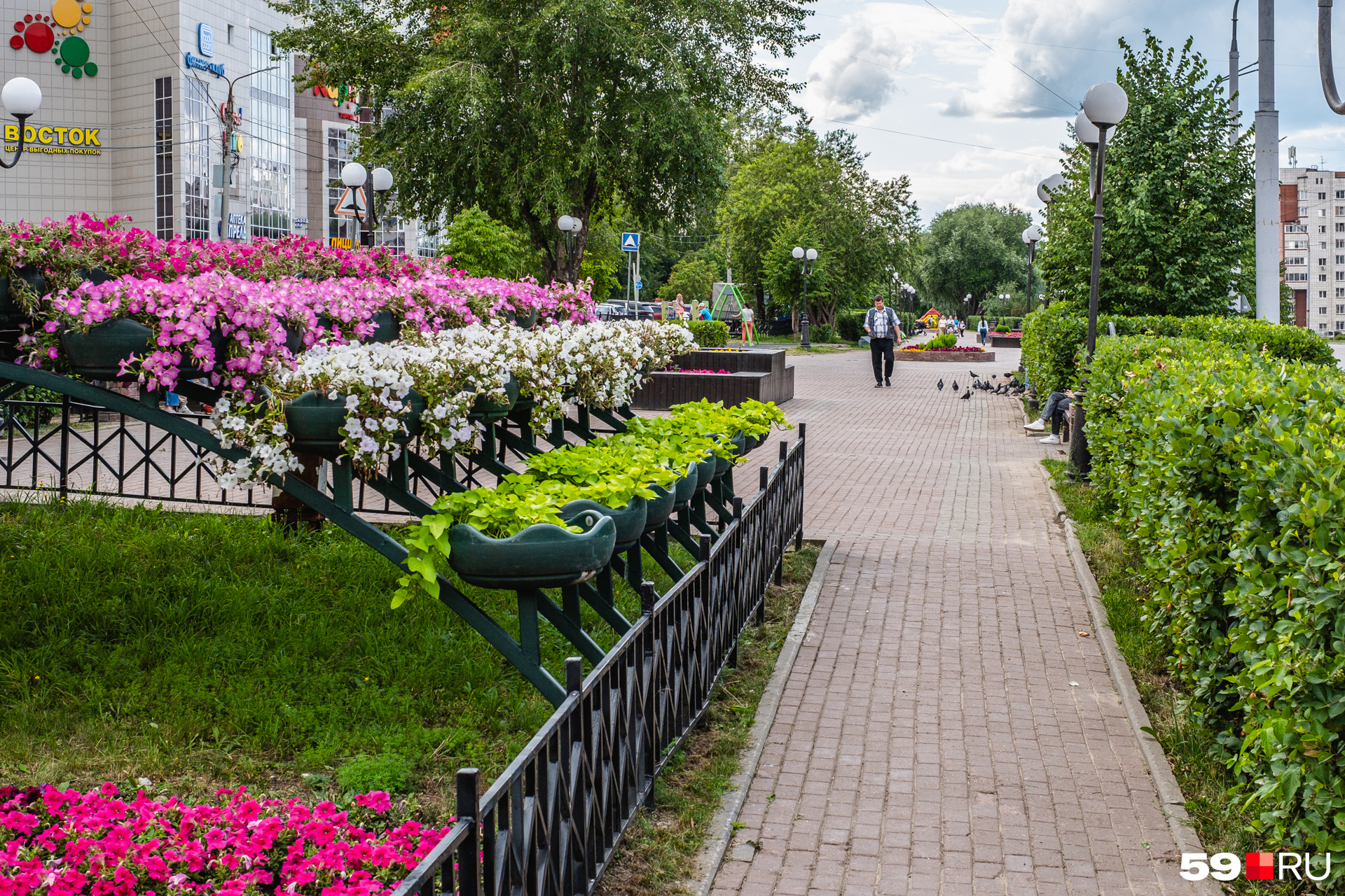 Сады микрорайона. Летний сад. Сад в Перми. Пермь мкр Крохалева садик. 315 Сад Пермь.