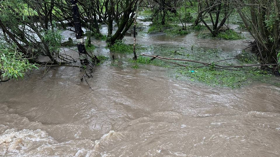 «Природа бушует»: на Алтае сняли на видео реку, переполнившуюся из-за дождей