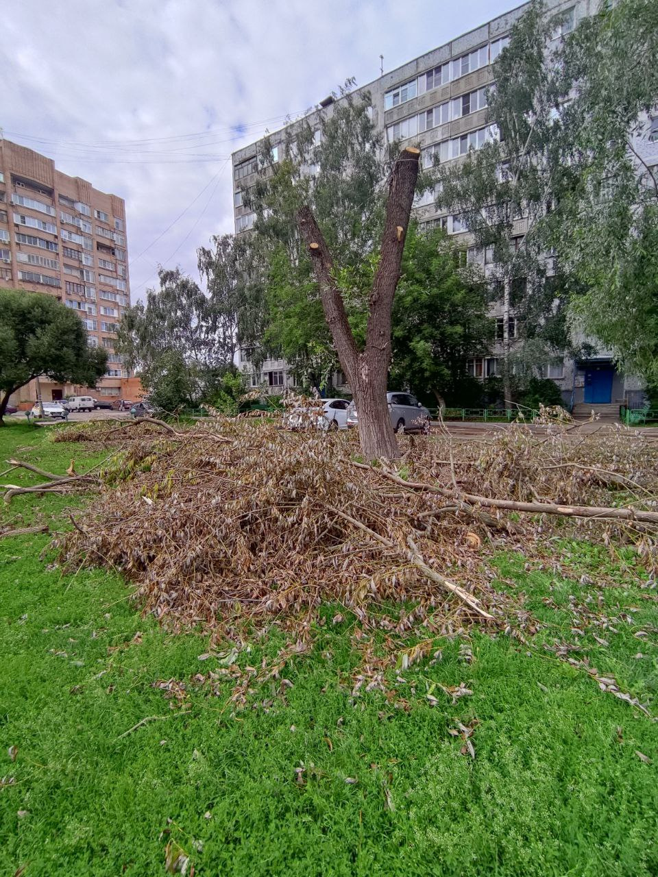 Ураган в городе фото