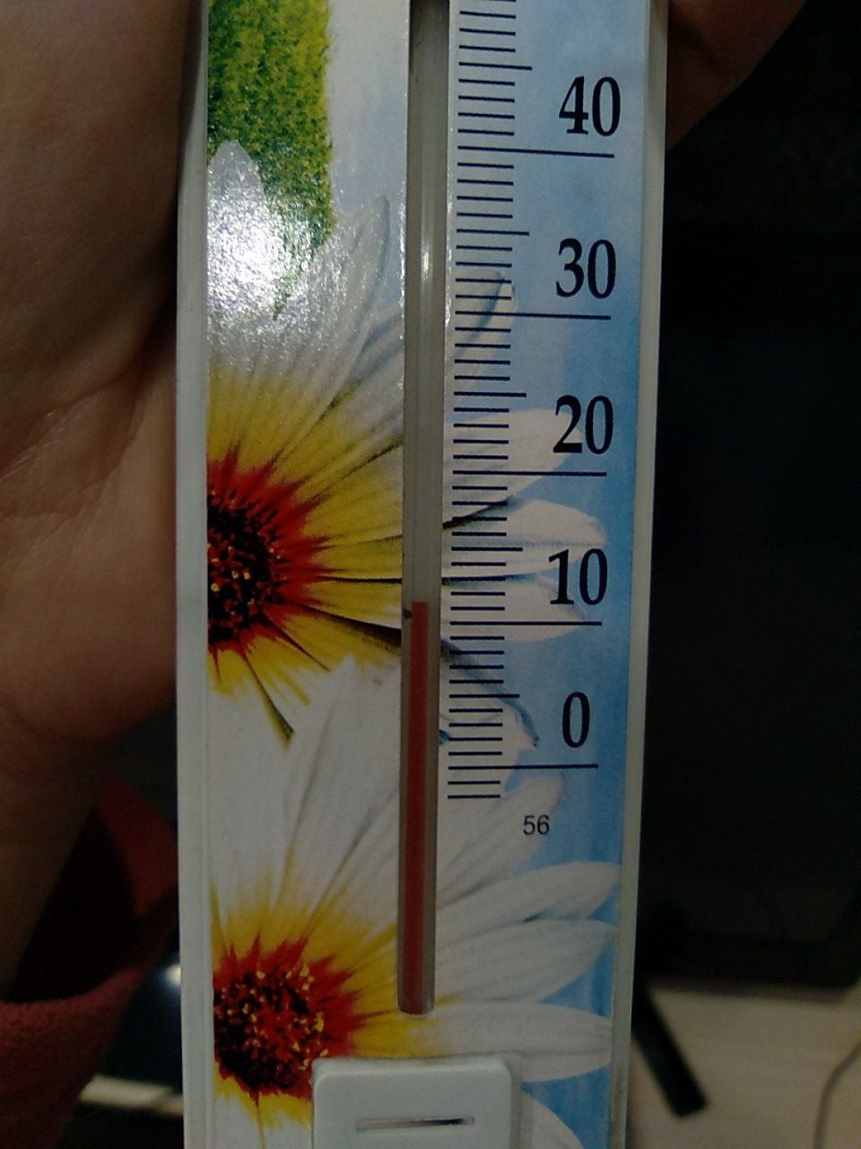 Термометр показывает почти 12 градусов тепла