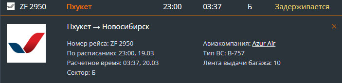 Информация о задержке указана на сайте аэропорта Толмачево