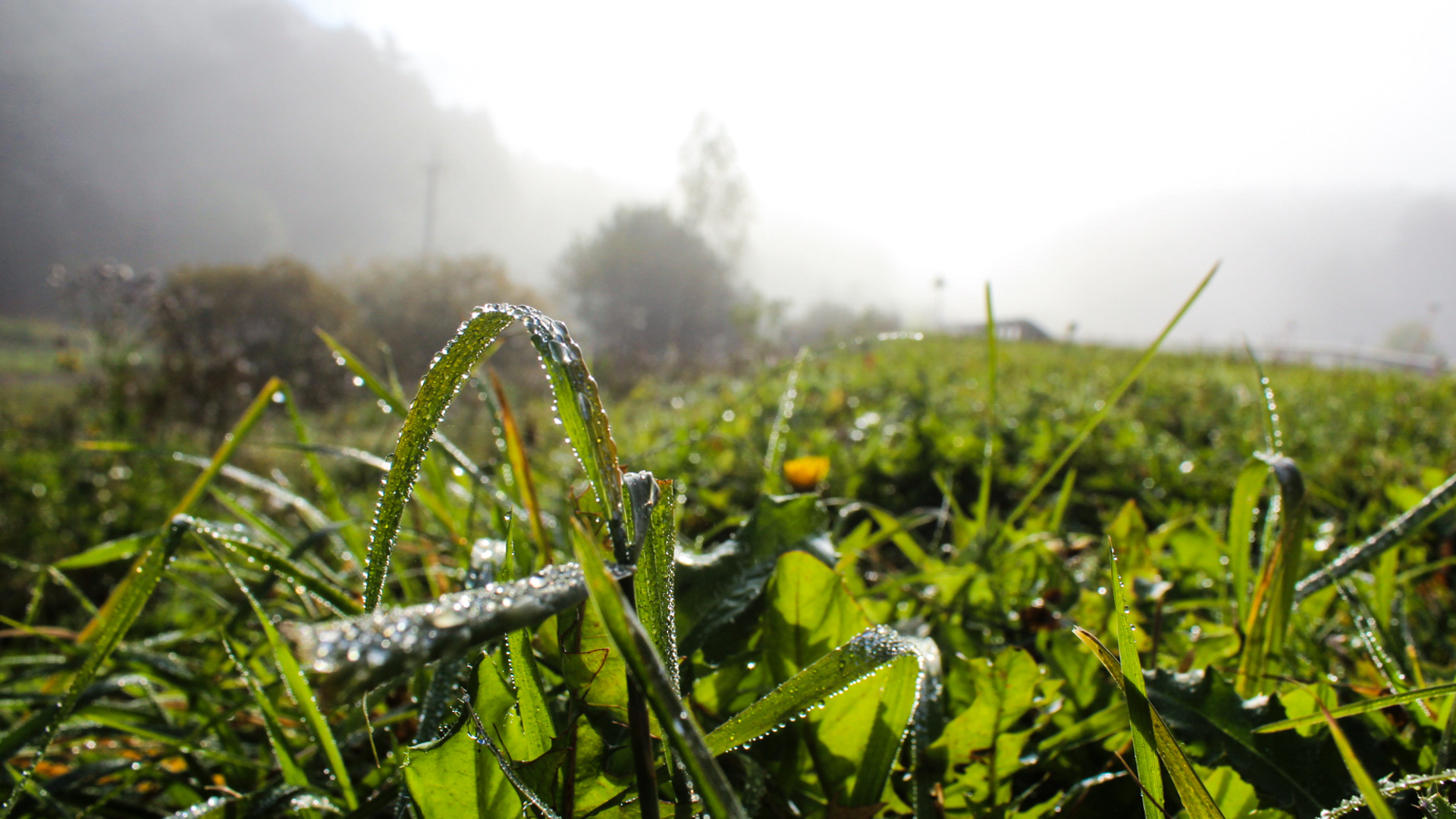 Магия утра: туман окутал пригород Кемерова — 16 красивых фото