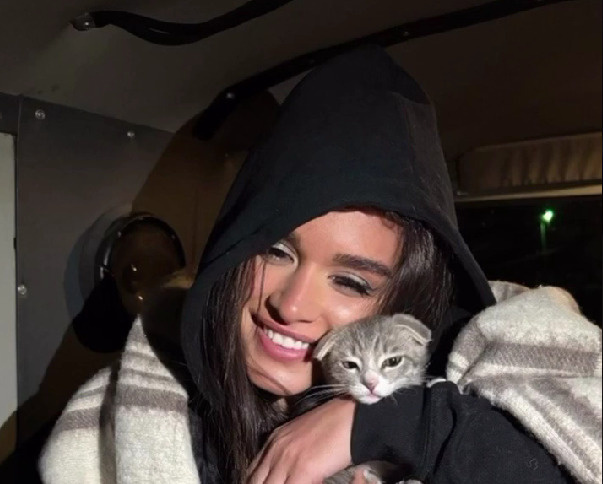 «Нашли под машиной» Ксения Бородина увезла в Москву найденного на Алтае бездомного котенка — видео