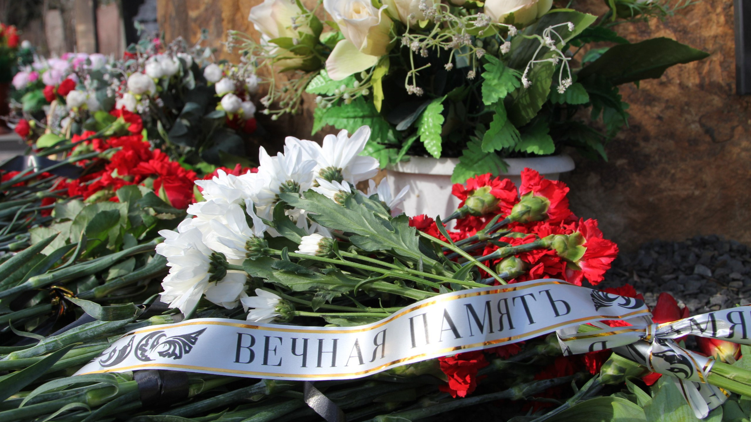 В Ростове цветы с мемориала в память о погибших в «Крокусе» перенесли на могилы бойцов СВО