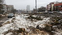 «Тут словно ураган прошел». Из-за строительства станции метро «Сенная» в округе срубили почти все деревья