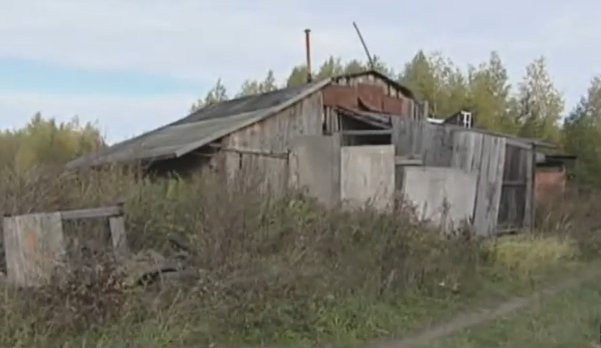 Подвал смерти. Мужчины в Нижегородской области устроили рабскую ферму, где насиловали и убивали людей