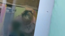 Челябинец снял на видео, как воспитатель дергает за руки ребенка в детском саду