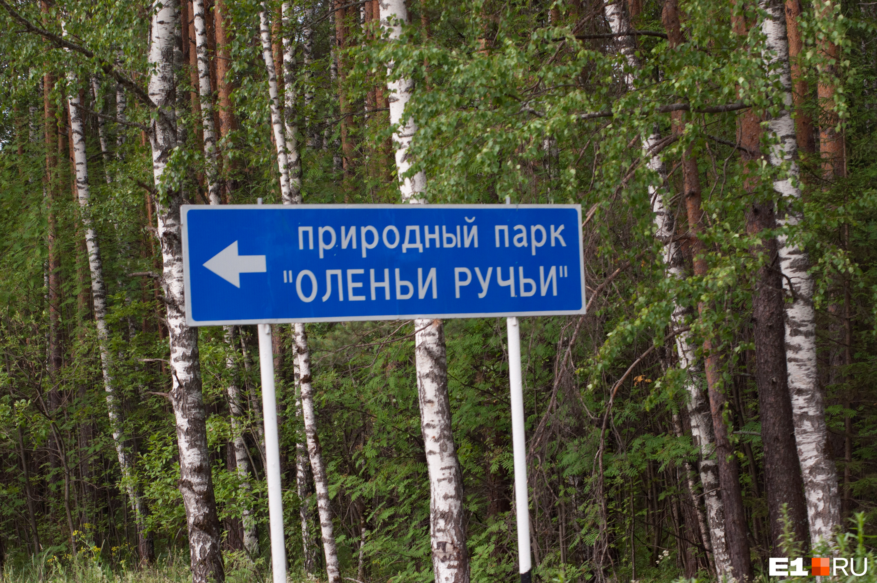 В Свердловской области запретили посещение природных и лесных парков. Всё из-за пожаров