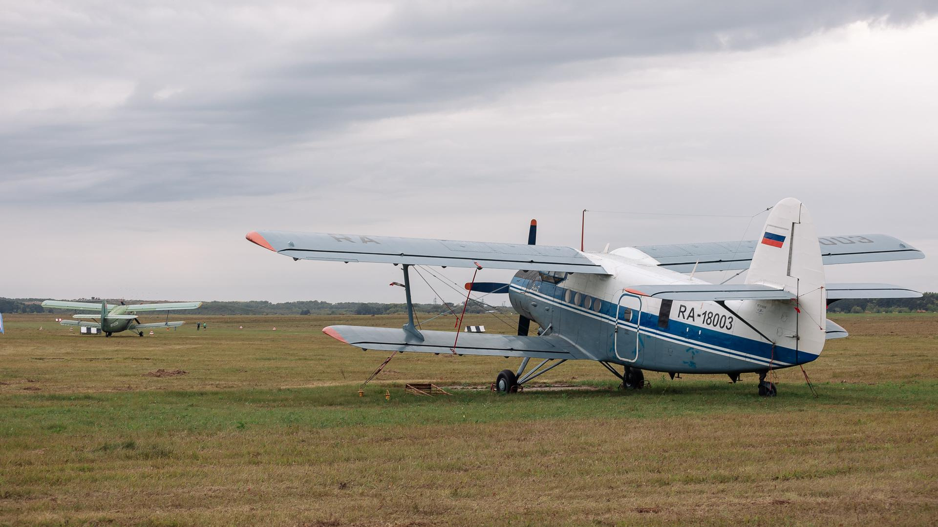 Следовал по неизвестному маршруту: самолет Ан-2 пролетел над Толмачево без разрешения