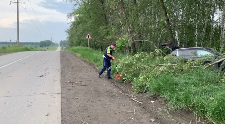 В Екатеринбурге легковушка съехала с дороги и влетела в дерево. Водитель погиб, пострадал ребенок