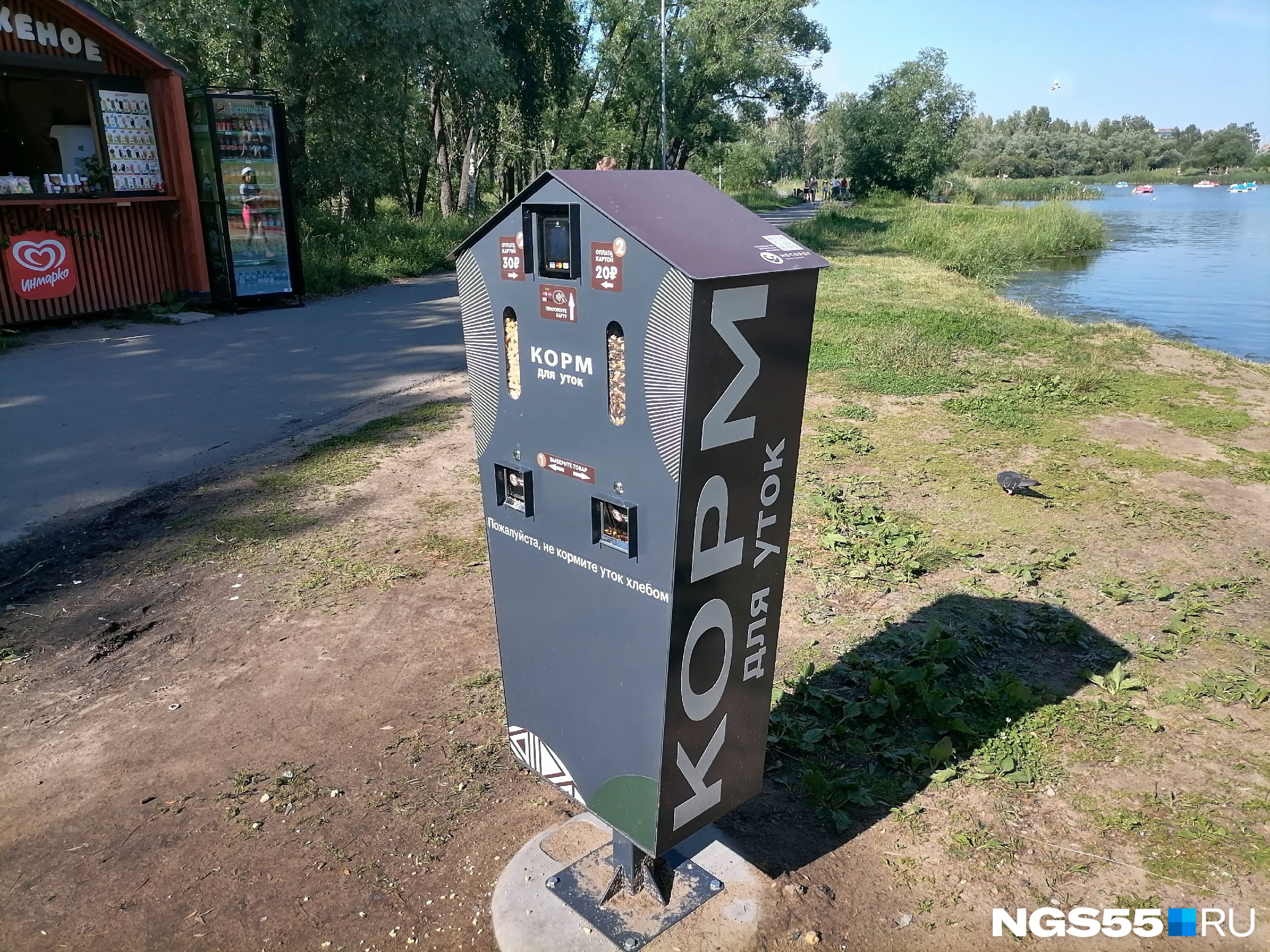 В парке 30-летия ВЛКСМ установили аппарат с кормом для уток