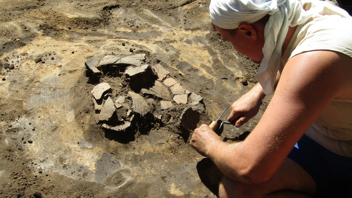 «Шило без мыла»: археологи нашли на берегу Медведицы <nobr class="_">3,5-тысячелетнее</nobr> металлическое изделие