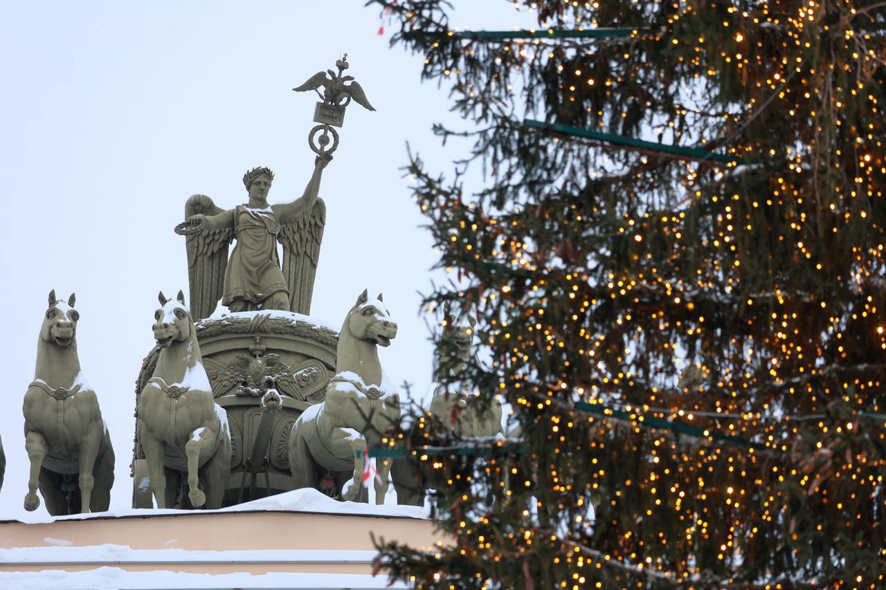 Главную ель на Дворцовой площади начали украшать к Новому году