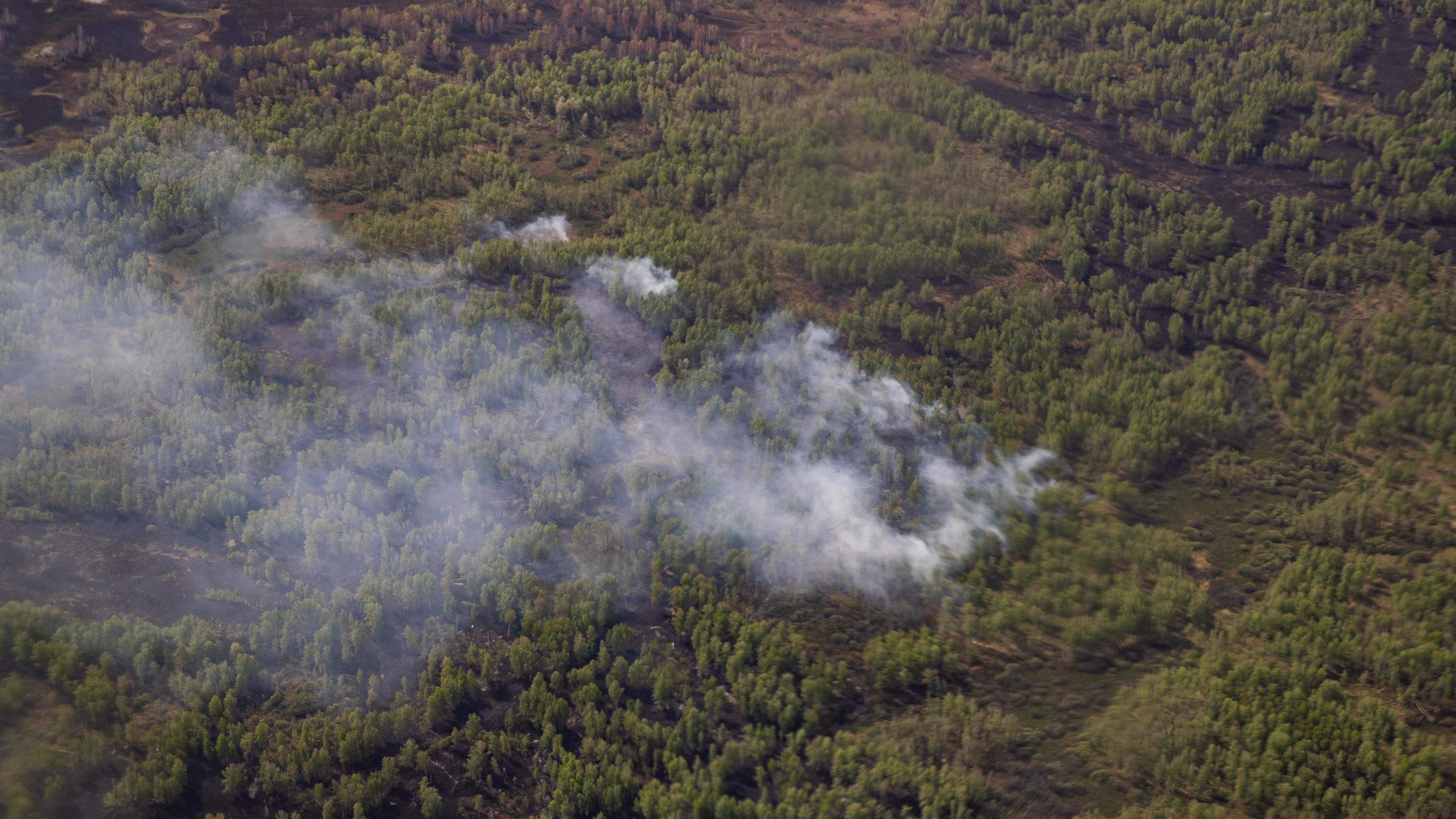 В Югре тушат 6 природных пожаров, их площадь превышает <nobr class="_">900 га</nobr>